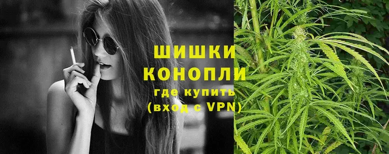 Шишки марихуана сатива  Киров 